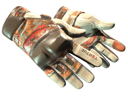 ★ Moto Gloves | POW! (Field-Tested)