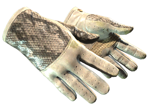 ★ Driver Gloves | King Snake (Field-Tested)